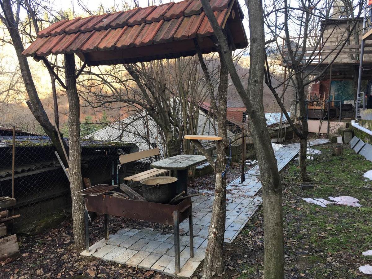 Guest House Shvelidze Borjomi Eksteriør billede