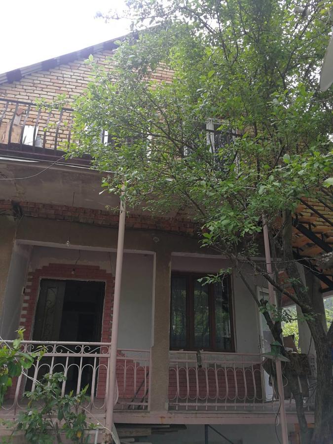 Guest House Shvelidze Borjomi Eksteriør billede