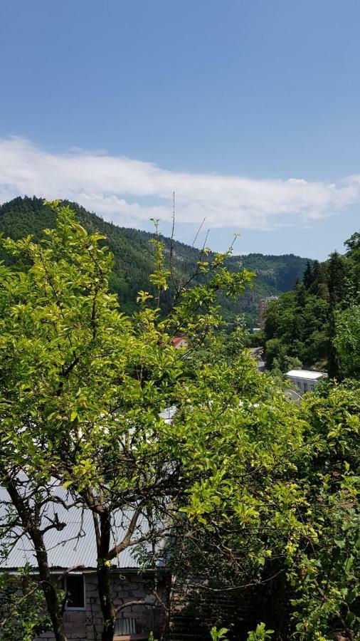 Guest House Shvelidze Borjomi Eksteriør billede
